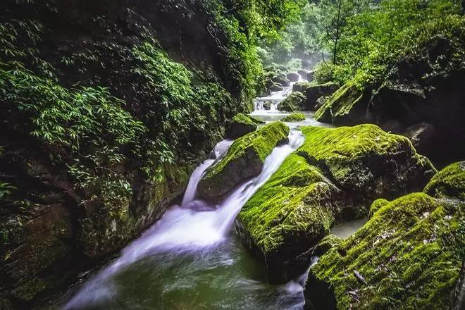 华海清科、文一科技领跌,半导体设备ETF(561980)跌超1%!机构:业绩韧性超预期,回调或已具充分性价比